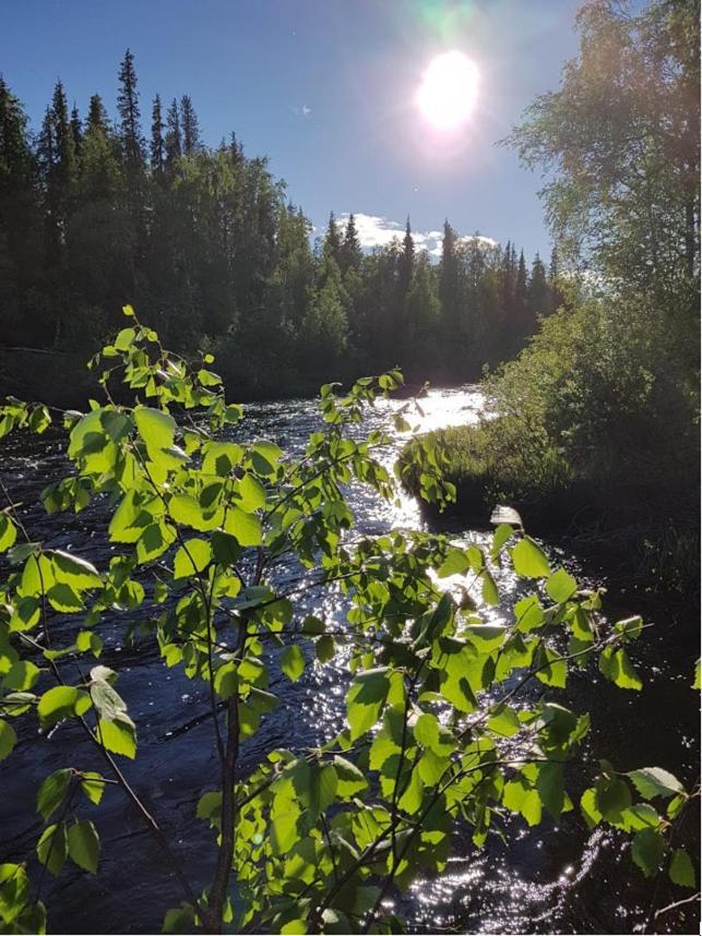 Vila Luppokumpu Kuivasalmi Exteriér fotografie